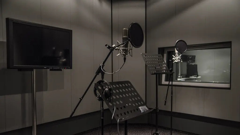 AMII voice and dialogue recording studio with two microphones